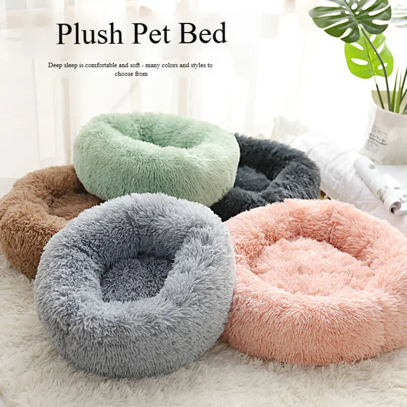 Calming and comfort products for dogs
