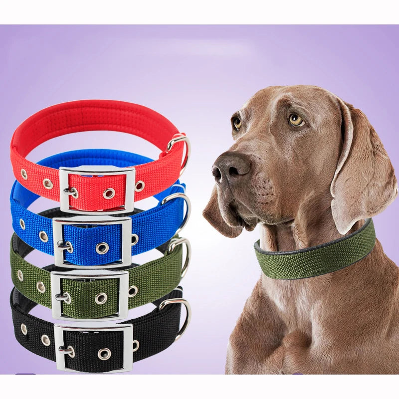 Adjustable Nylon Dog Collar – Durable Everyday Collar for Small, Medium & Large Dogs