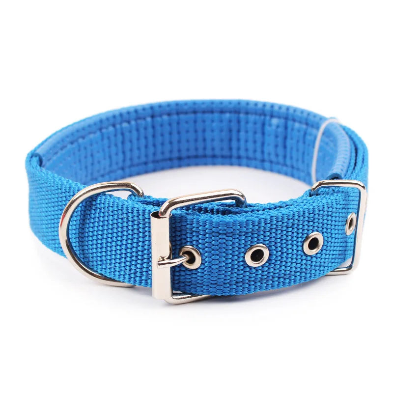 Adjustable Nylon Dog Collar – Durable Everyday Collar for Small, Medium & Large Dogs