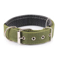 Adjustable Nylon Dog Collar – Durable Everyday Collar for Small, Medium & Large Dogs