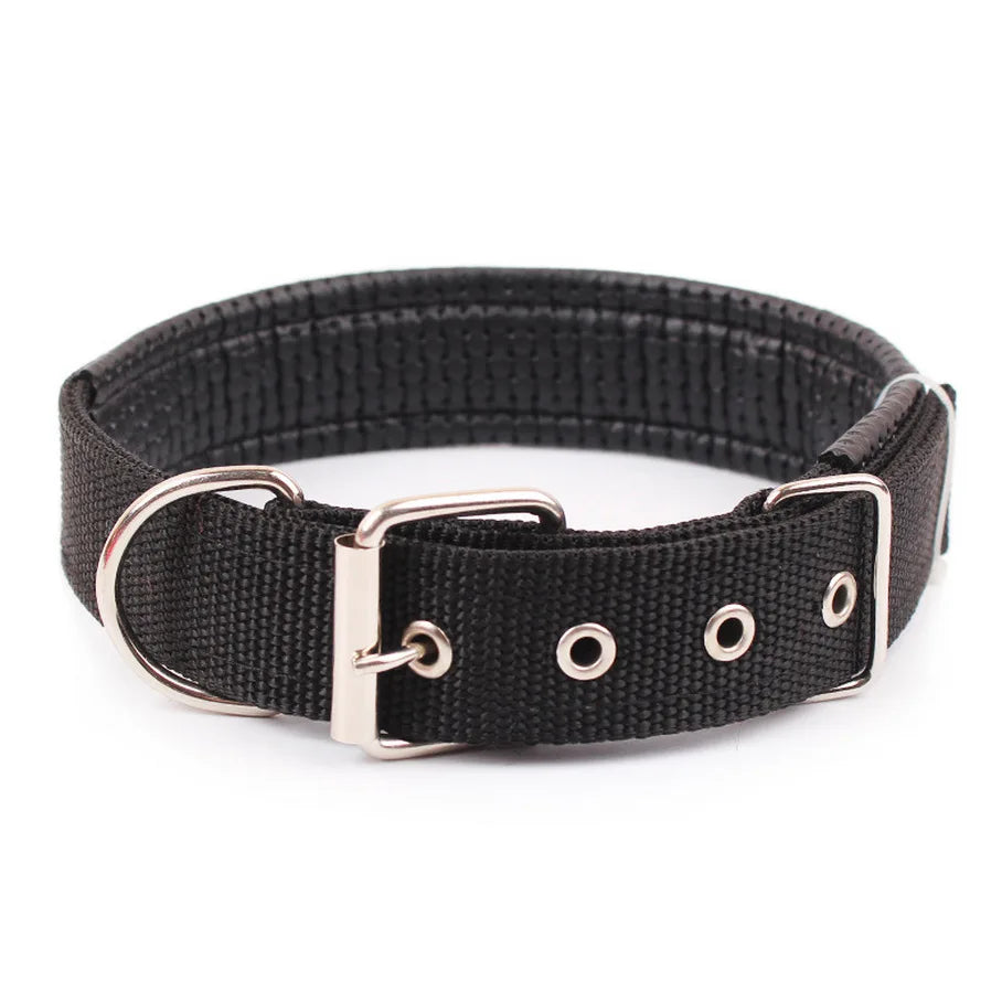 Adjustable Nylon Dog Collar – Durable Everyday Collar for Small, Medium & Large Dogs