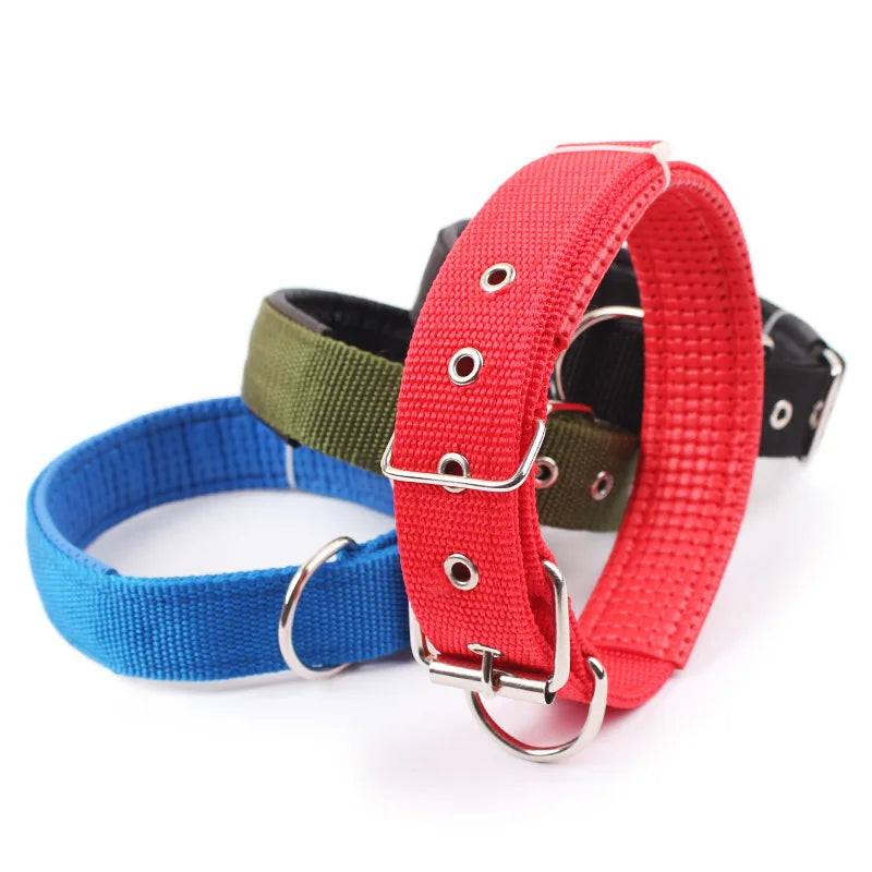 Adjustable Nylon Dog Collar – Durable Everyday Collar for Small, Medium & Large Dogs