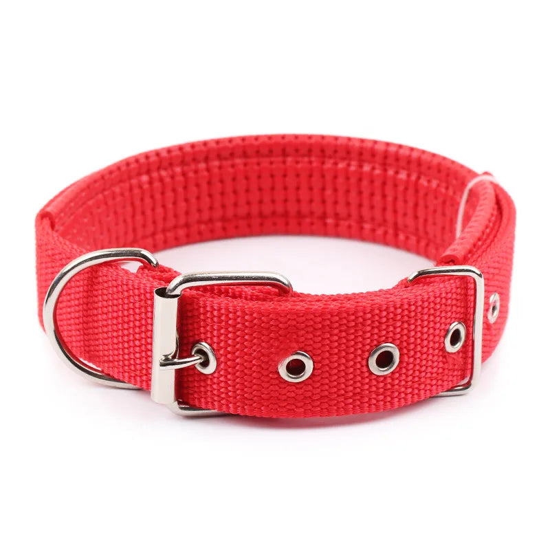 Adjustable Nylon Dog Collar – Durable Everyday Collar for Small, Medium & Large Dogs