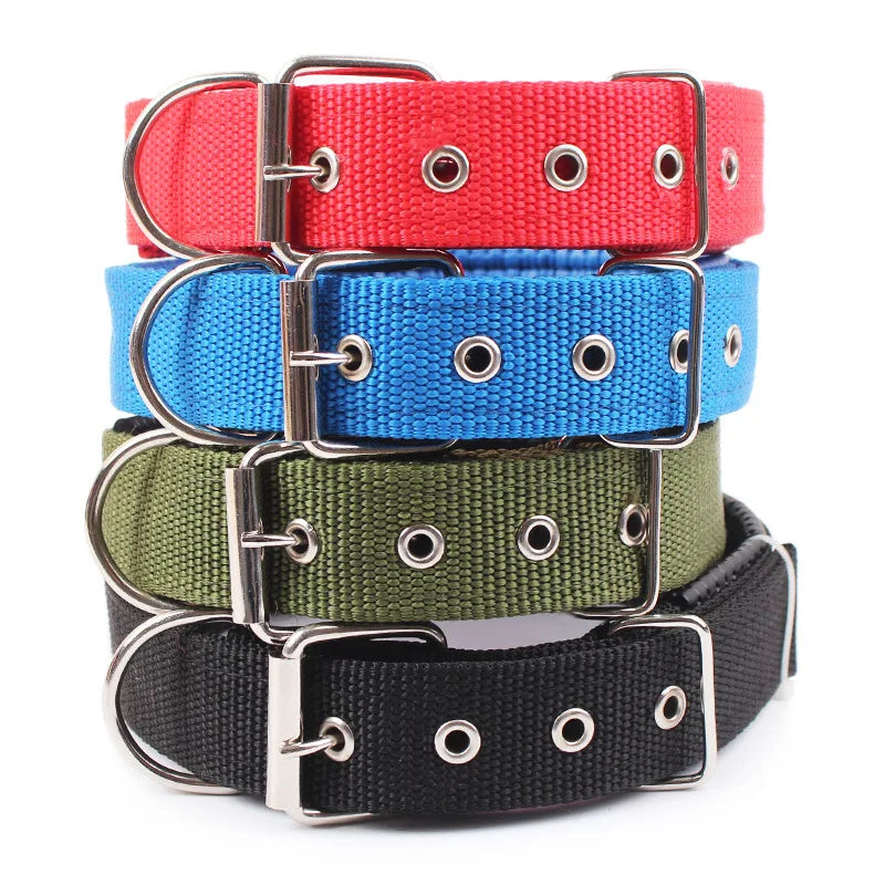 Adjustable Nylon Dog Collar – Durable Everyday Collar for Small, Medium & Large Dogs