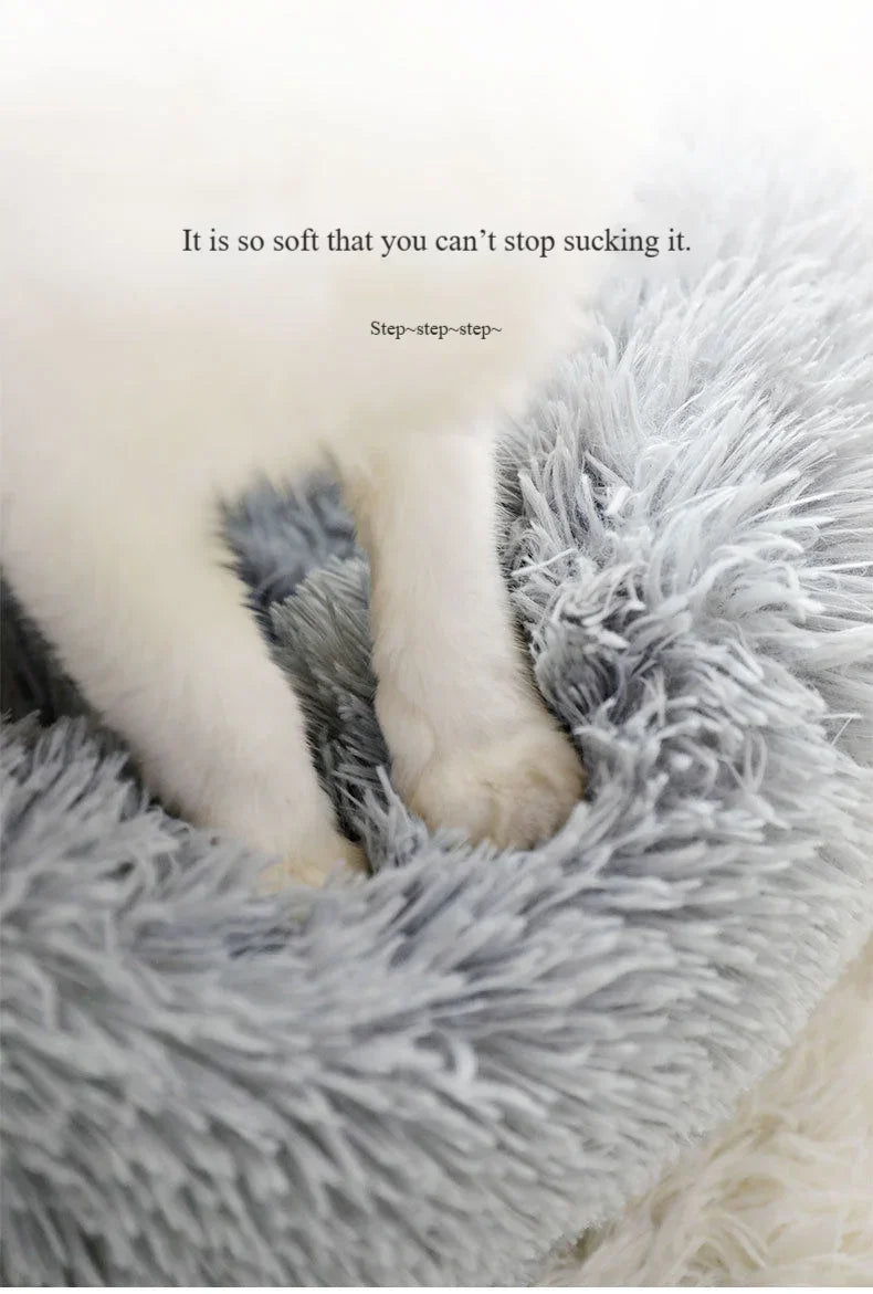 White cat paws standing on soft, fluffy light grey pet bed, cozy and comfortable texture.