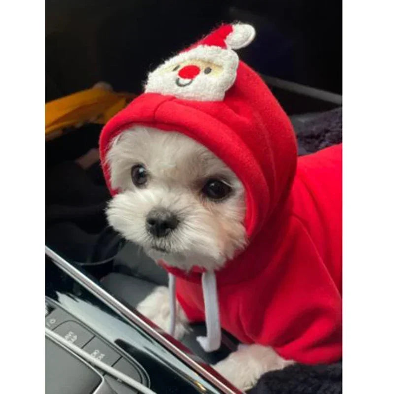 Christmas Dog Hoodie – Red & Green Festive Clothing