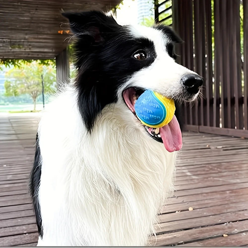 Durable Rubber Dog Ball – Tough Chew & Interactive Play Toy for Dogs