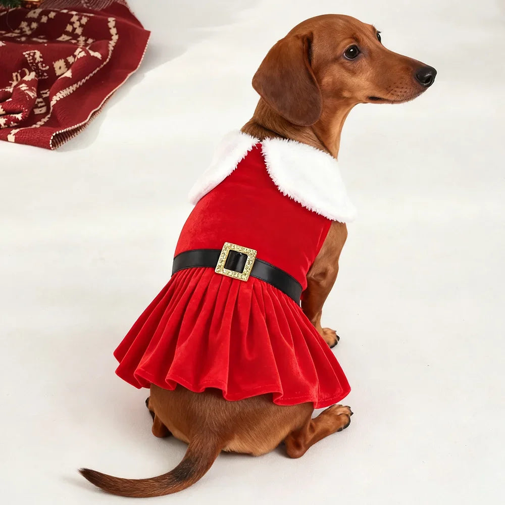 Festive Christmas Dog Dress – Holiday Party Outfit