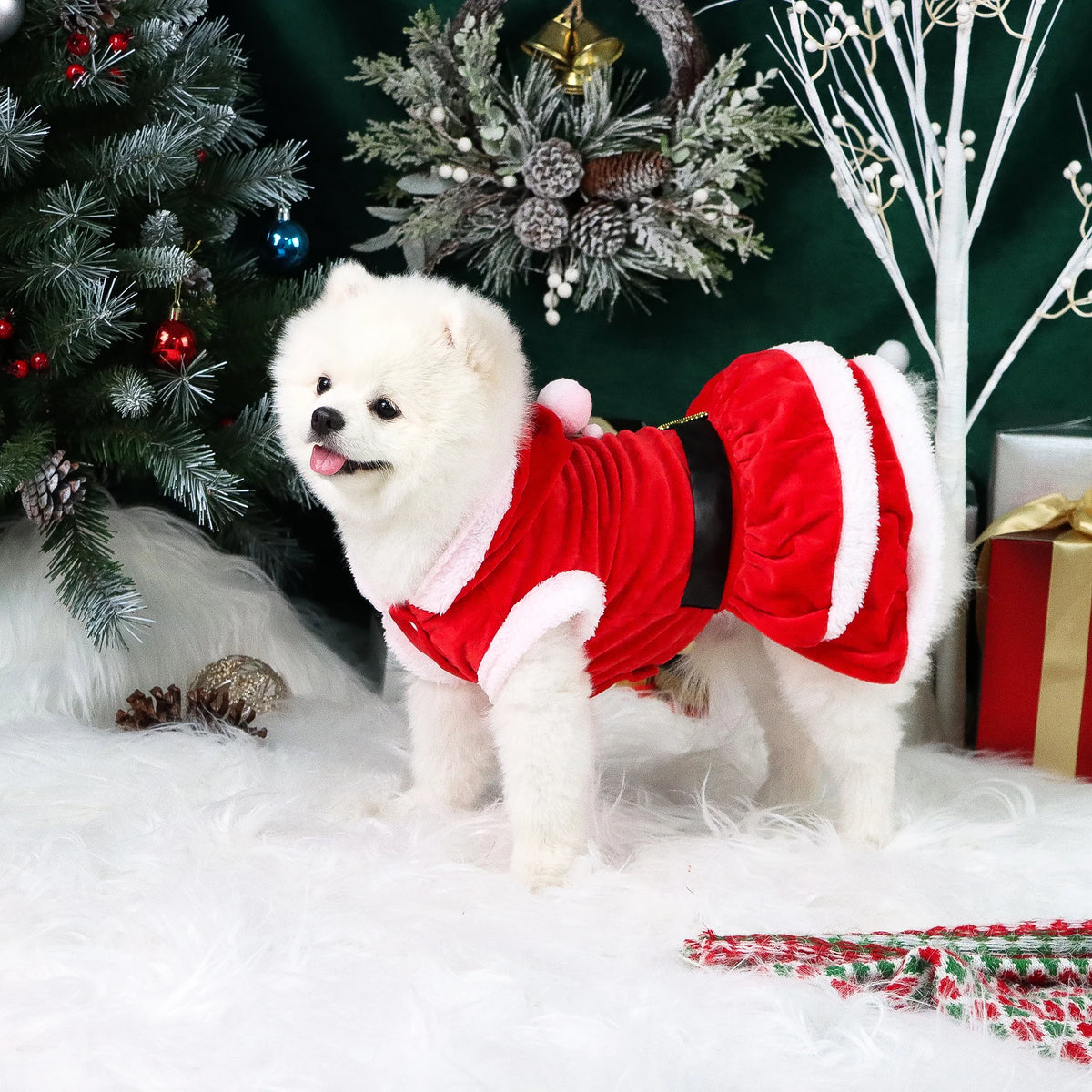 Santa Christmas Dog Dress – Red Festive Pet Outfit