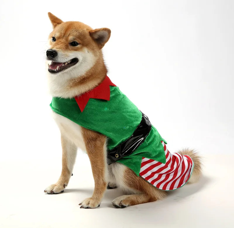 Christmas Elf Dog Costume – Striped Festive Outfit