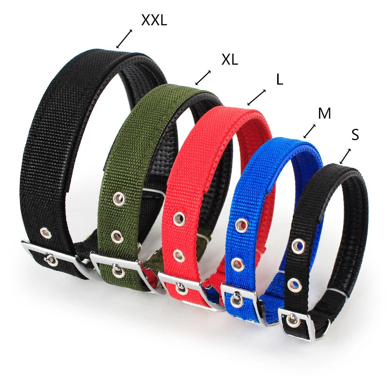 Adjustable Nylon Dog Collar – Durable Everyday Collar for Small, Medium & Large Dogs