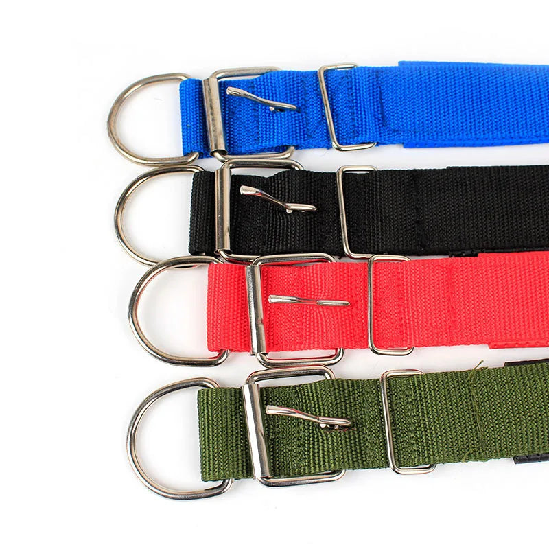 Adjustable Nylon Dog Collar – Durable Everyday Collar for Small, Medium & Large Dogs