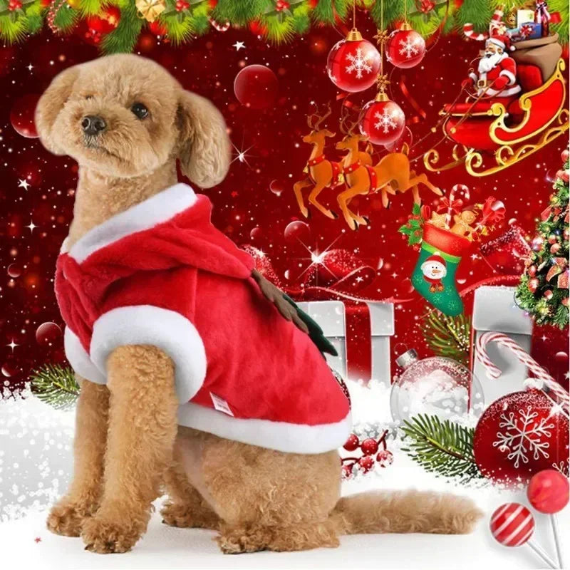 Christmas Tree Dog Hoodie – Festive Pet Outfit