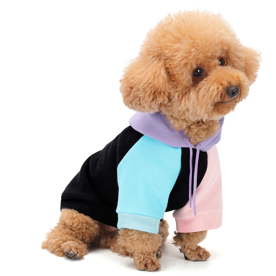 Premium Dog Hoodie – Soft Calming Pet Hoodie for Warmth & Everyday Comfort