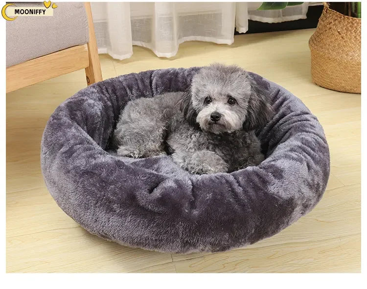 Small gray dog resting in a round plush pet bed on a wooden floor indoors