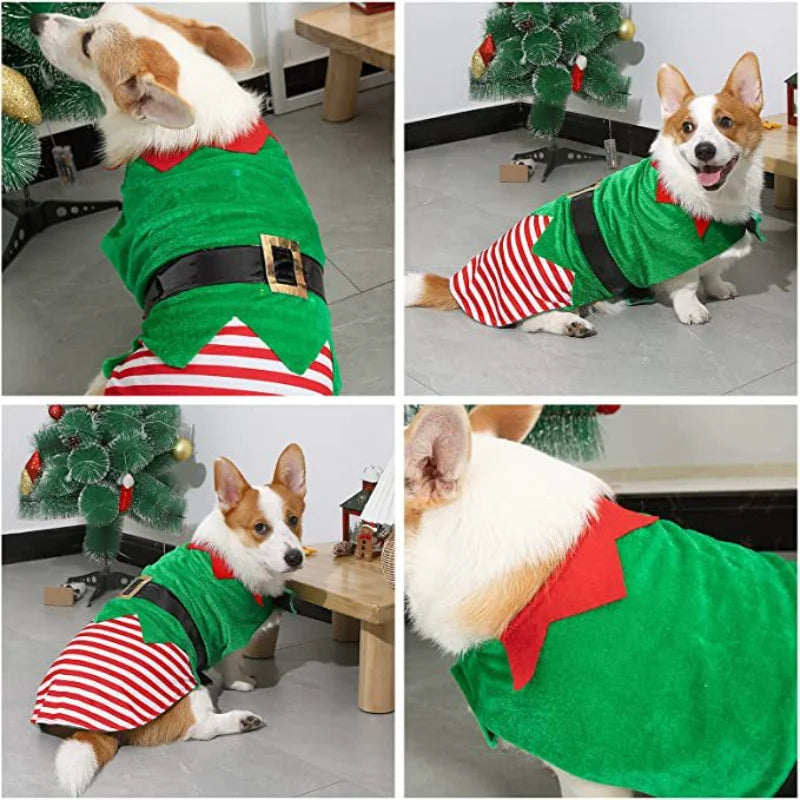 Christmas Elf Dog Costume – Striped Festive Outfit