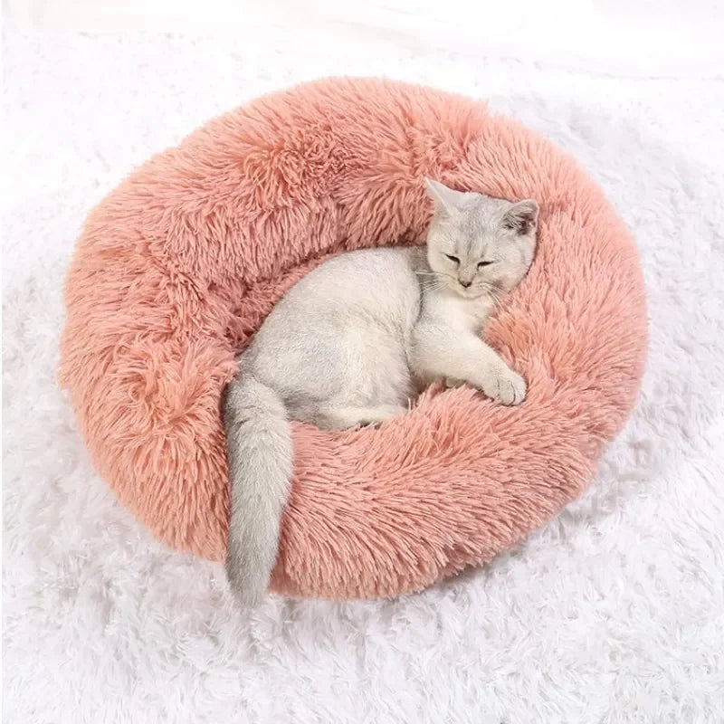 Gray cat sleeping in a round pink fluffy pet bed on a white carpet