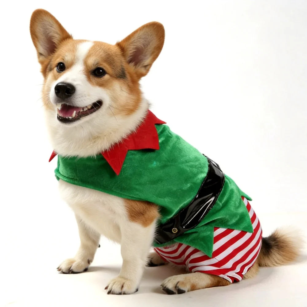 Christmas Elf Dog Costume – Striped Festive Outfit