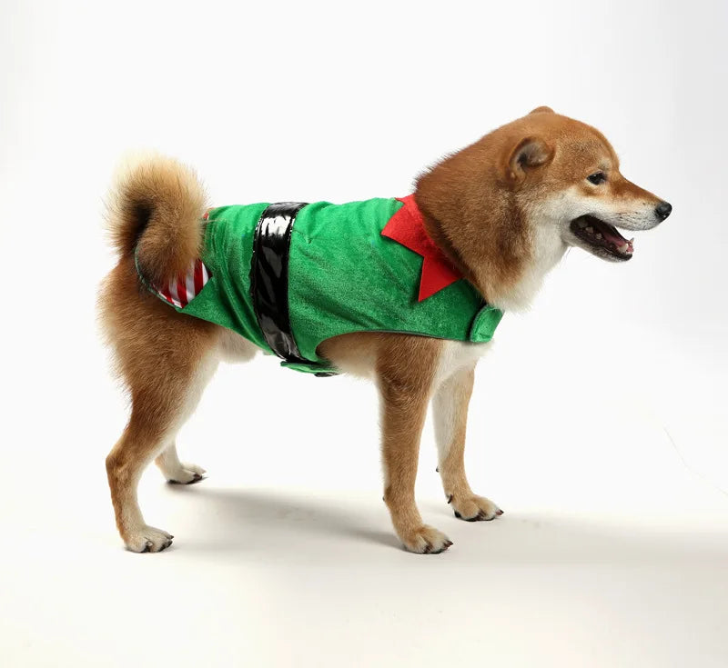 Christmas Elf Dog Costume – Striped Festive Outfit
