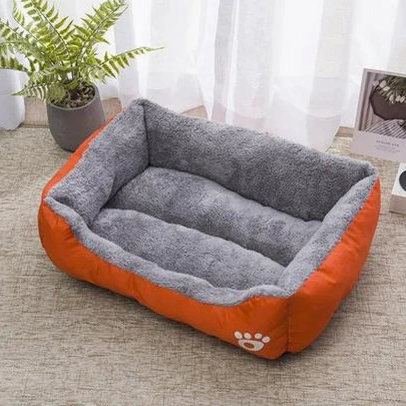 Plush gray and orange rectangular pet bed with paw print, placed by a window on carpet