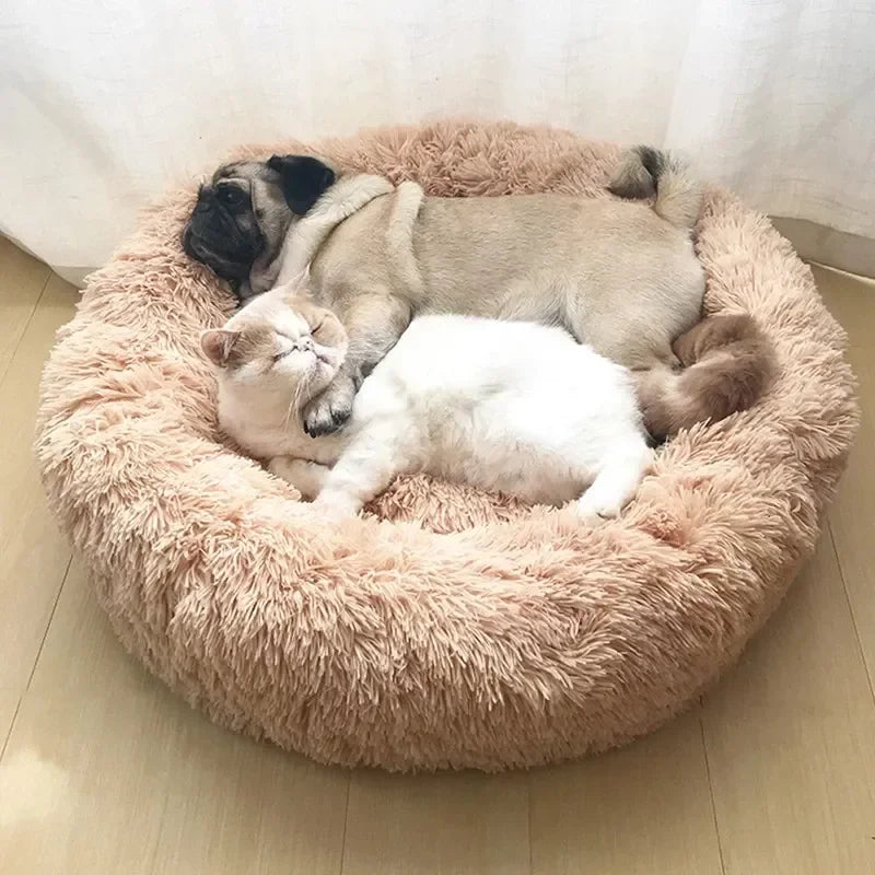 Dog and cat cuddling together in a fluffy round pet bed on a wooden floor