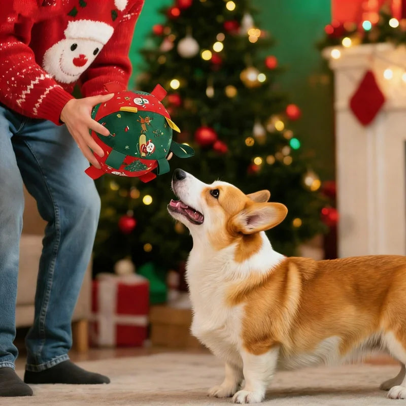 Christmas Squeaky Dog Ball – Red Festive Toy