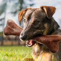 Beef Flavoured Dog Chew Bone – Durable Dental Toy for Chewing & Training