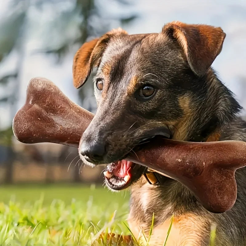 Beef Flavoured Dog Chew Bone – Durable Dental Toy for Chewing & Training