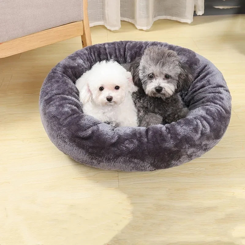 Two small dogs in a round plush grey pet bed on light wooden floor