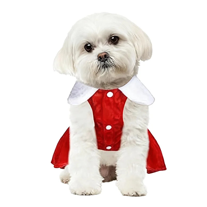 Santa Christmas Dog Costume Dress – Red Festive Outfit