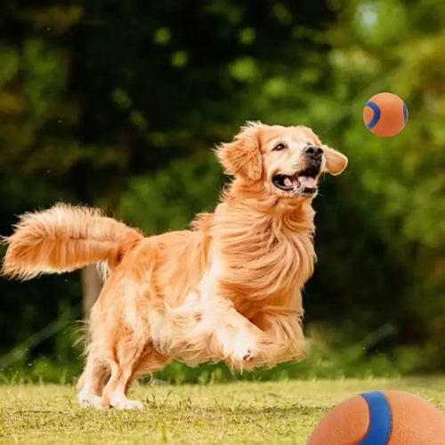 Bouncy Dog Fetch Ball – Elastic Play Ball for Dogs