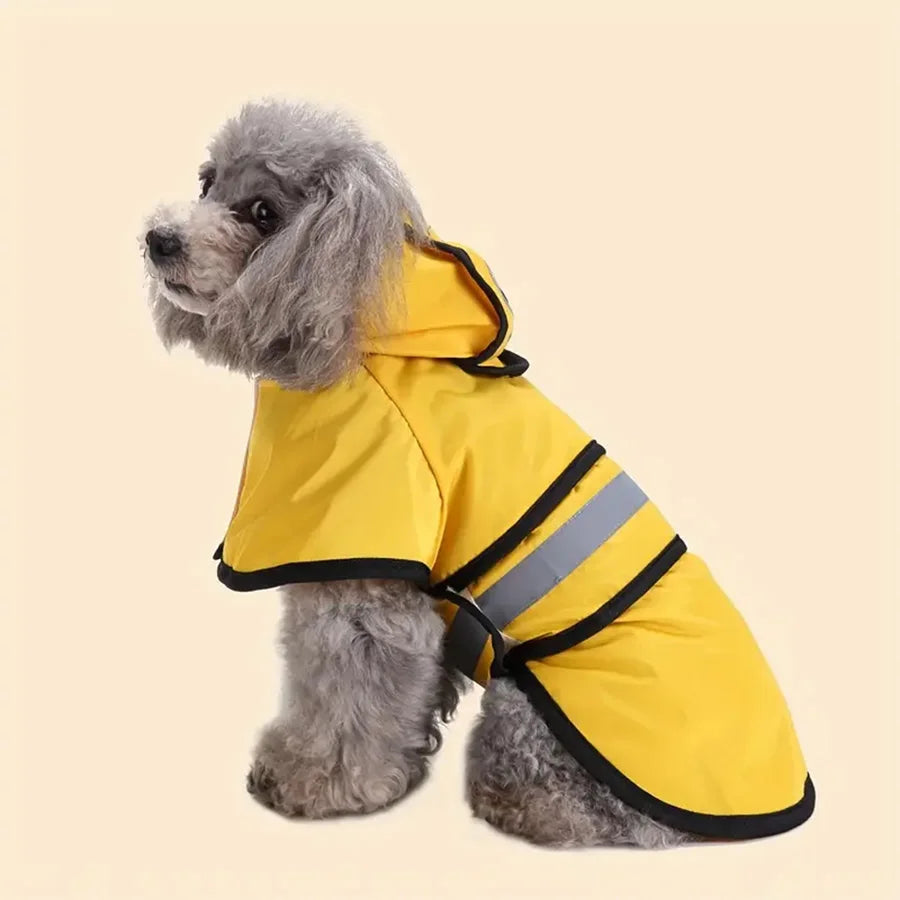 Dog travel and outdoor products