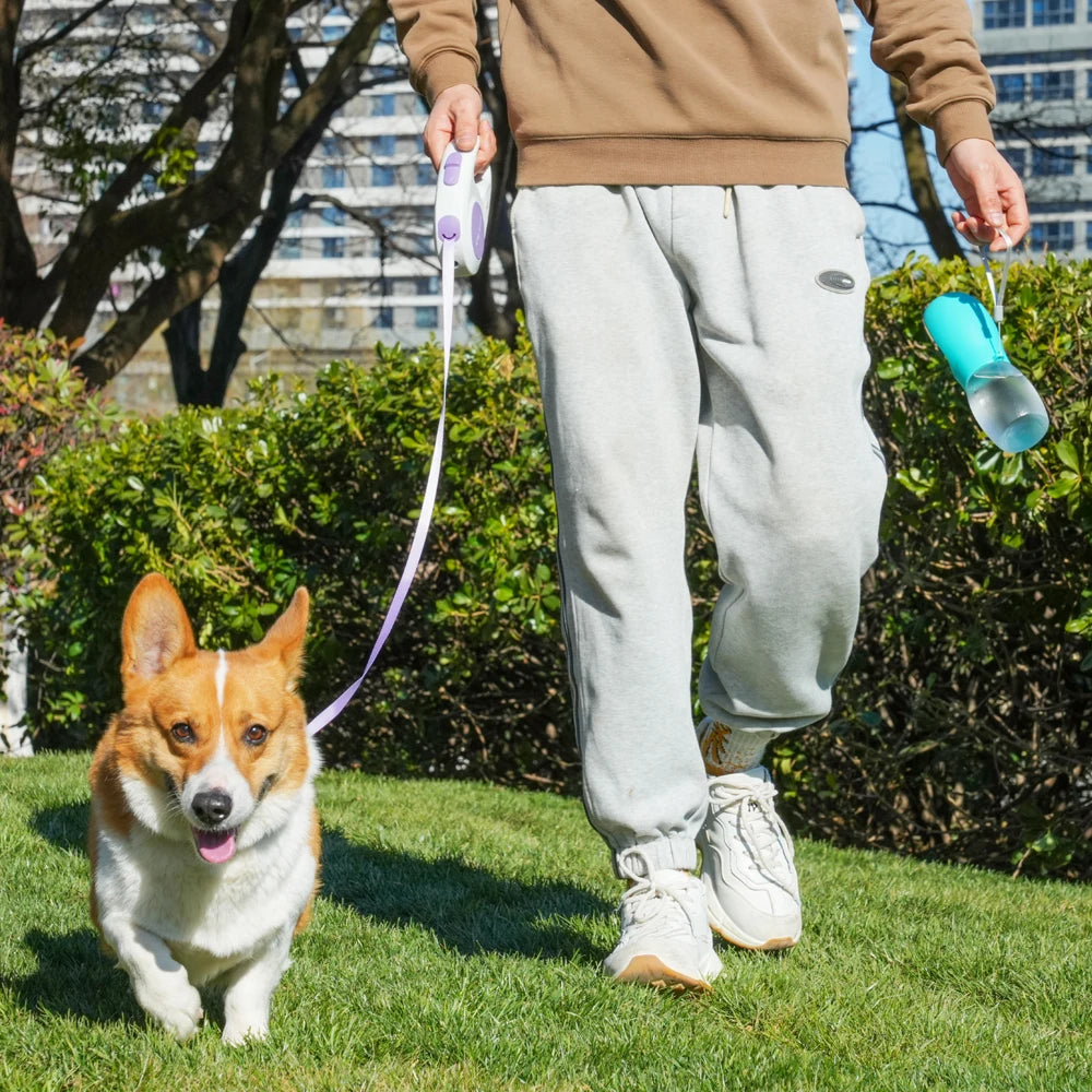 Portable Dog Water Bottle 300ml – Leakproof Travel Water Dispenser for Dogs & Cats