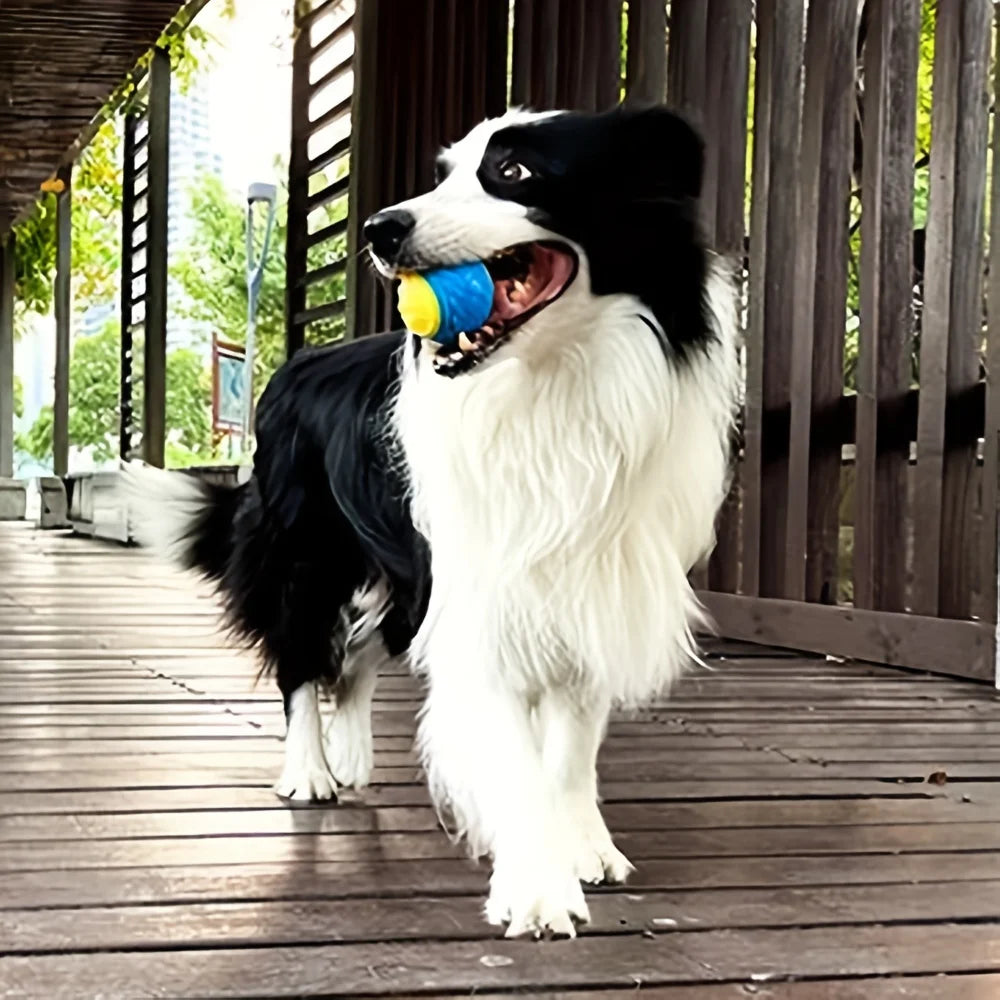 Durable Rubber Dog Ball – Tough Chew & Interactive Play Toy for Dogs
