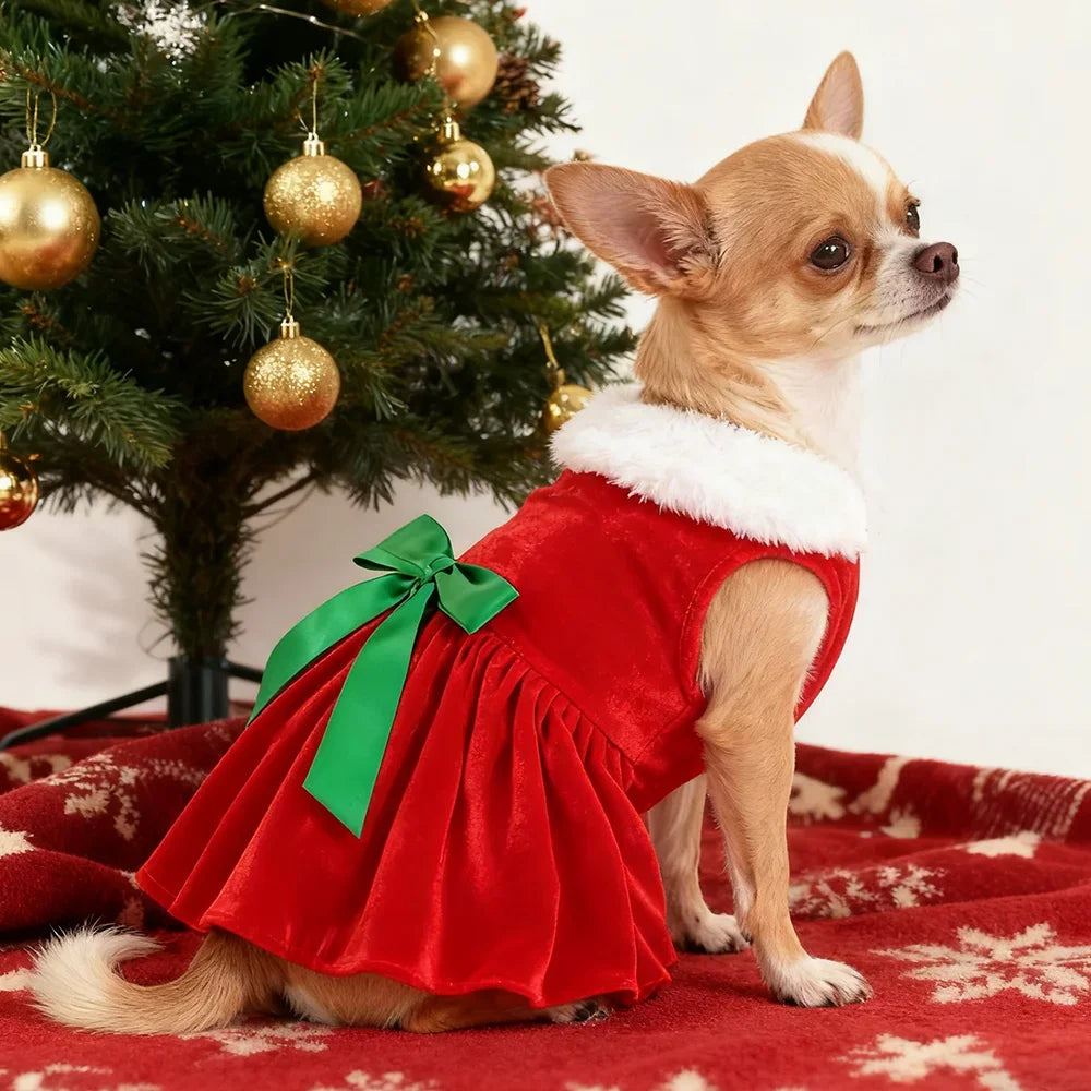 Festive Christmas Dog Dress – Holiday Party Outfit