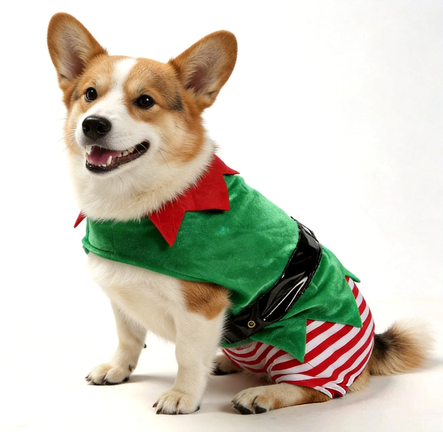 Christmas Elf Dog Costume – Striped Festive Outfit