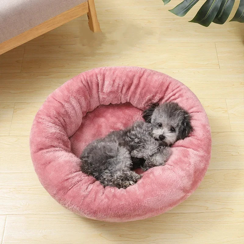 Small gray dog lying in a round pink plush pet bed on a wooden floor