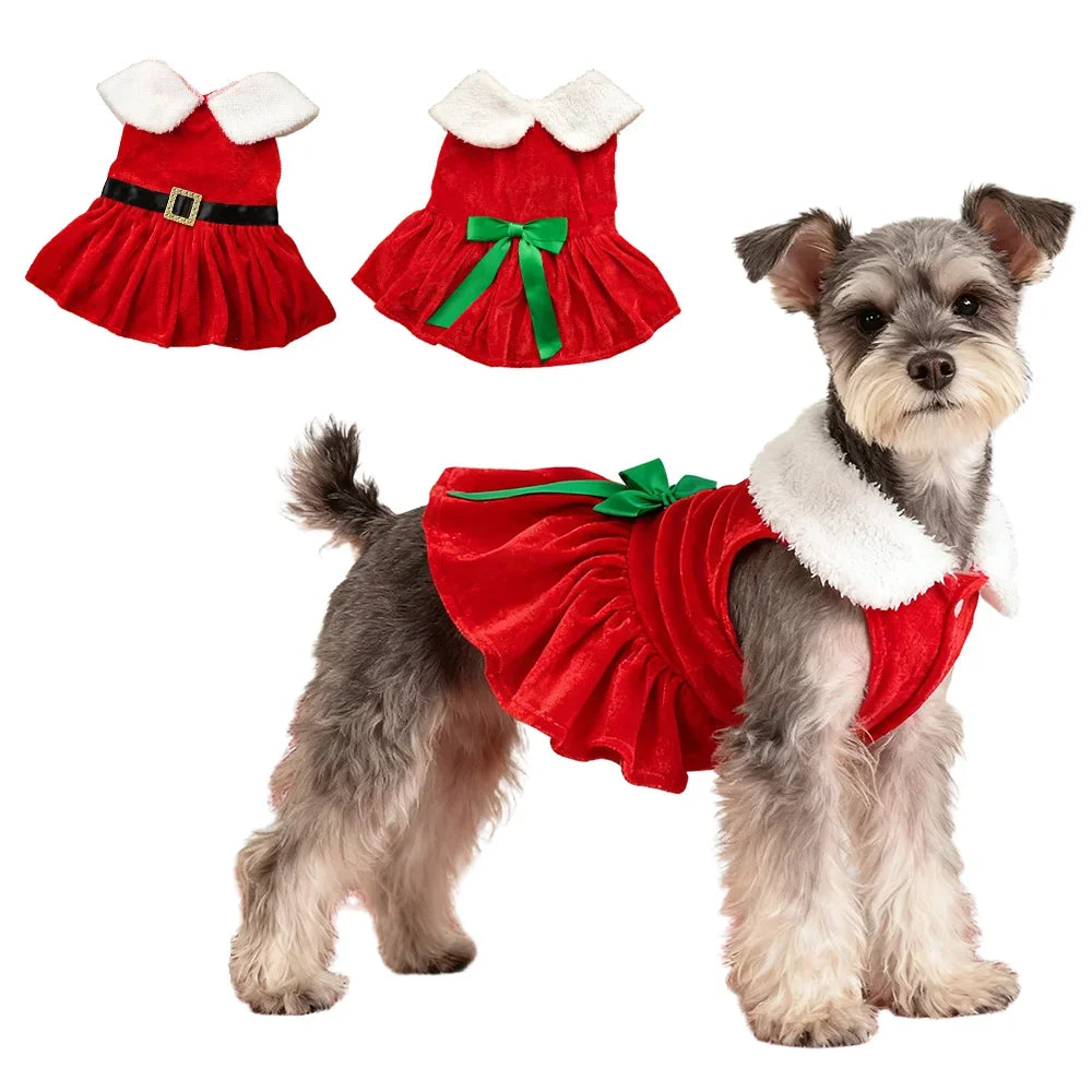 Festive Christmas Dog Dress – Holiday Party Outfit