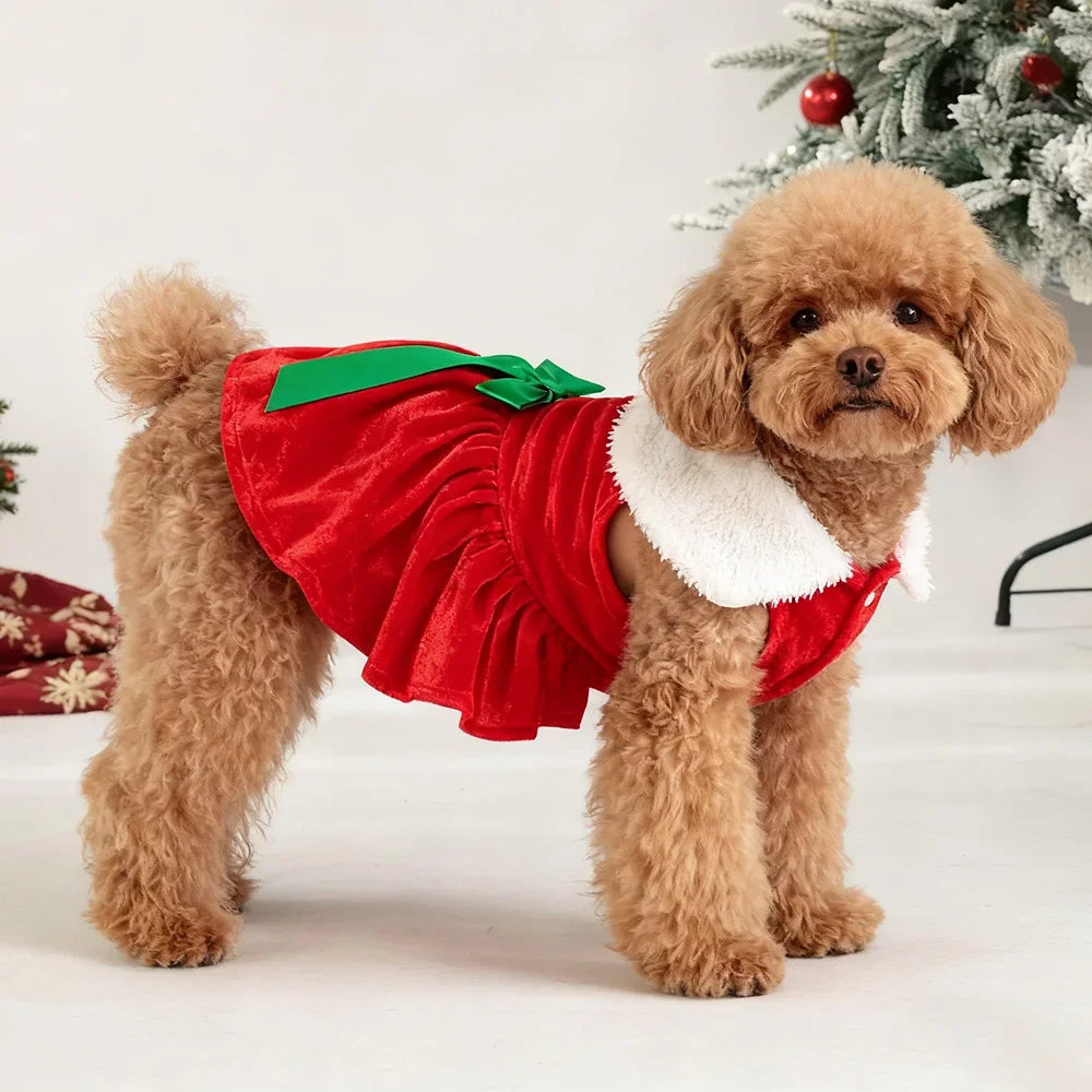 Festive Christmas Dog Dress – Holiday Party Outfit