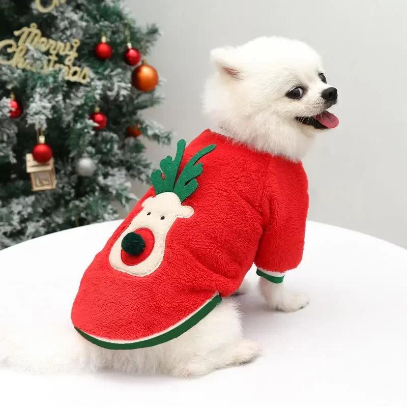 Christmas Dog Hoodie – Red & Green Festive Clothing