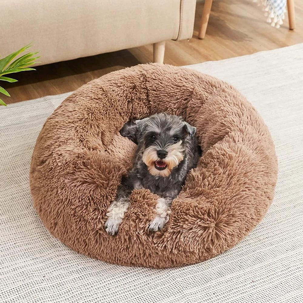 Small dog resting in a fluffy round brown calming dog bed on living room rug