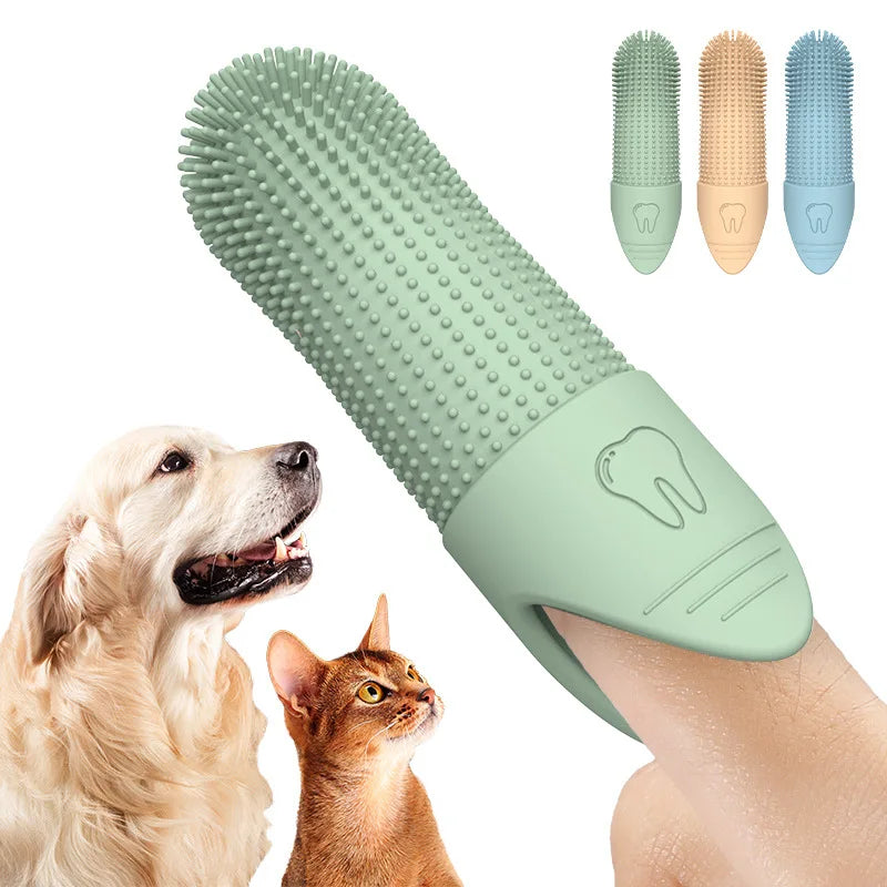 Everyday dog essentials