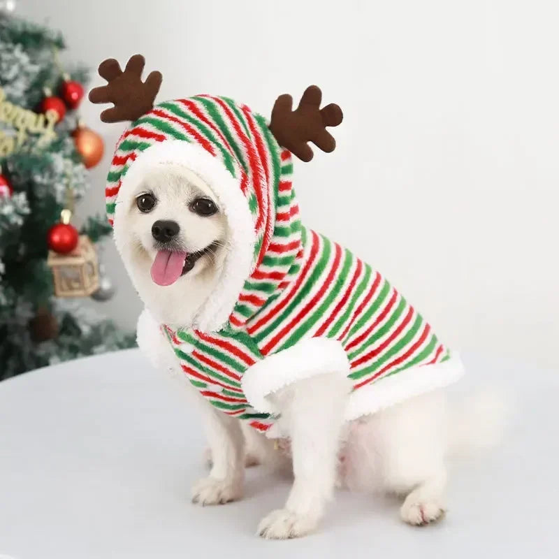 Christmas Dog Hoodie – Red & Green Festive Clothing
