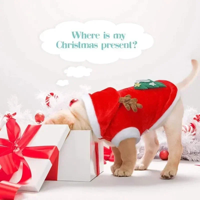 Christmas Tree Dog Hoodie – Festive Pet Outfit