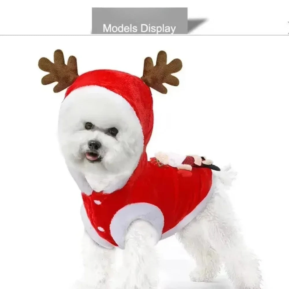 Christmas Tree Dog Hoodie – Festive Pet Outfit