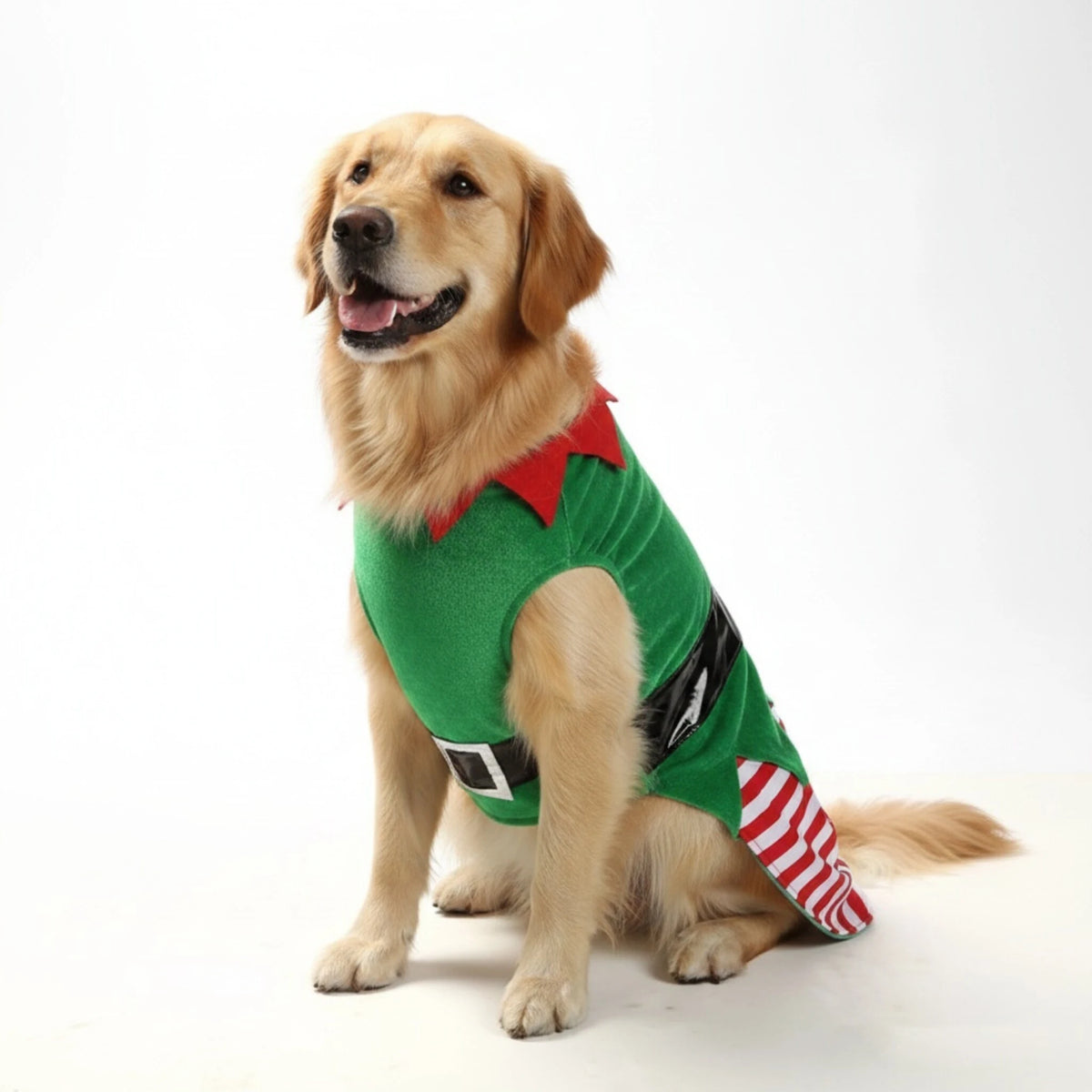 Christmas Elf Dog Costume – Striped Festive Outfit