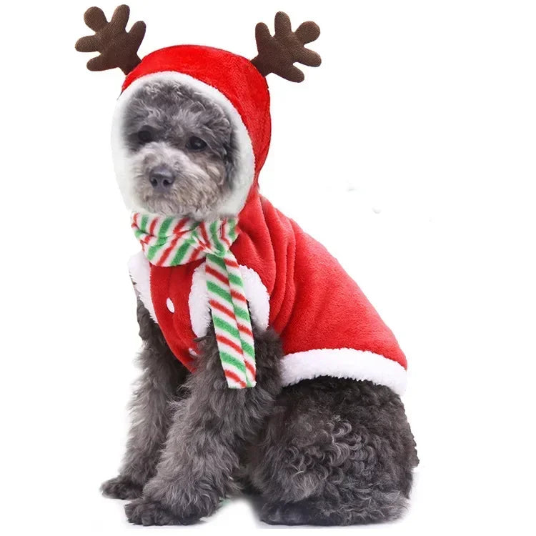 Christmas Dog Hoodie – Red & Green Festive Clothing