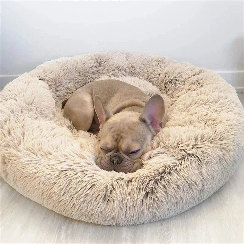 French bulldog sleeping in a plush round dog bed on a light wood floor